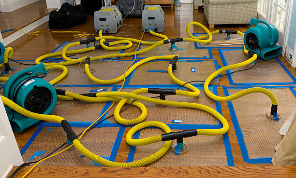 Professional Water Damage Restoration technician working in Luverne, AL